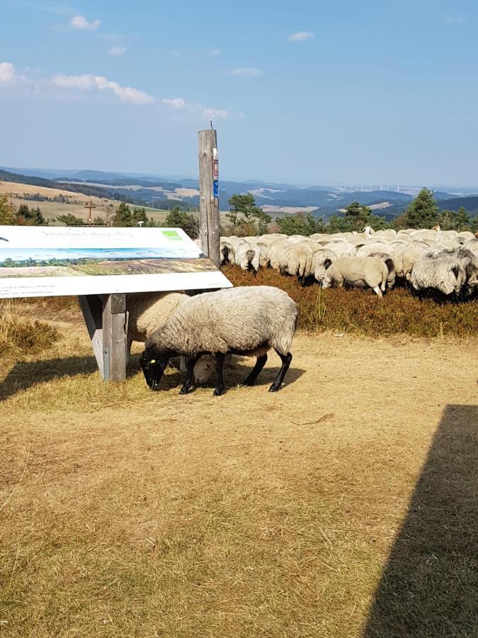 Fewos 4-Jahreszeiten Willingen  Eksteriør billede